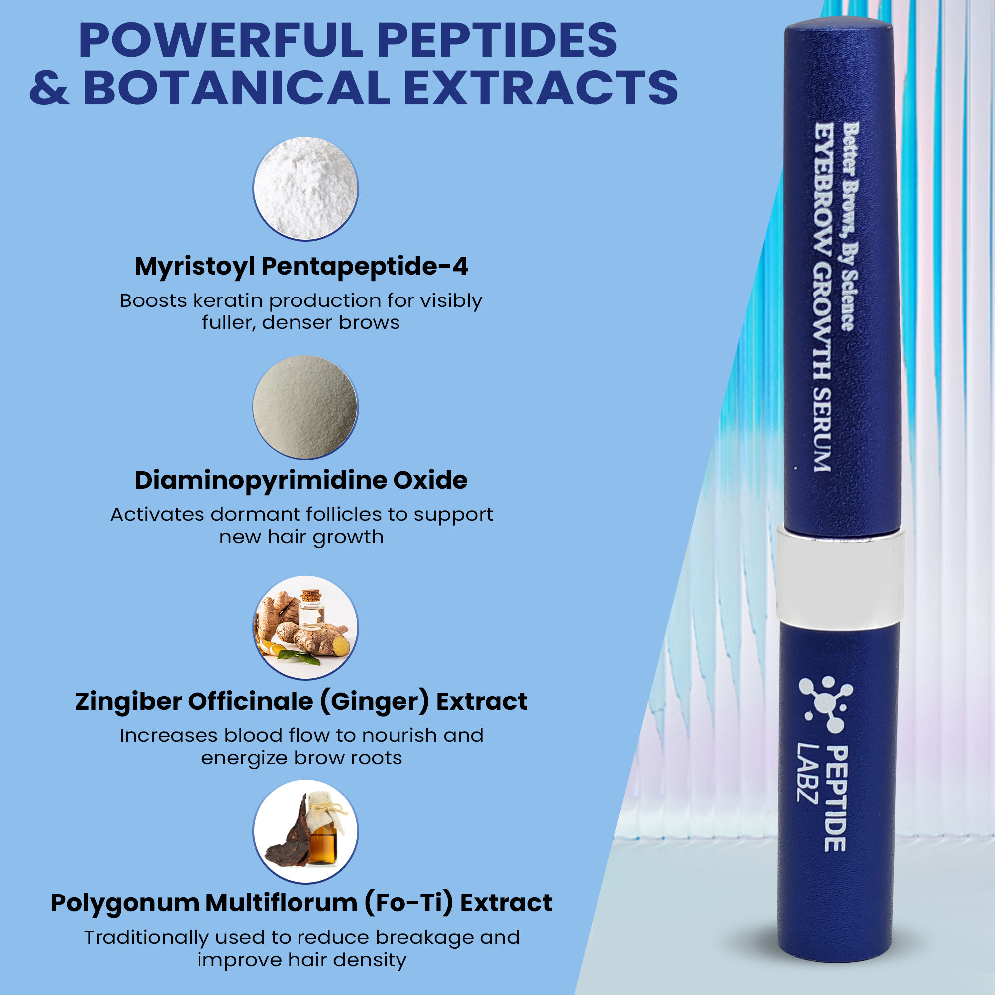 Eyebrow Growth Serum with Myristoyl Pentapeptide-4, Diaminopyrimidine Oxide & Ginger – Peptide Labz